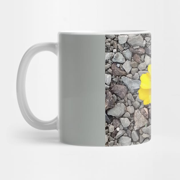 Bloomin Rocks by michaelasamples
